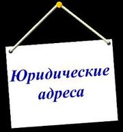 Предоставление юридического адреса в г.Жодино