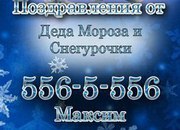 Дед Мороз и Снегурочка в Бресте,  Новый год 2016