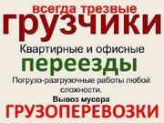 Услуги грузчика разнорабочего в Борисове  нал.безнал, договор